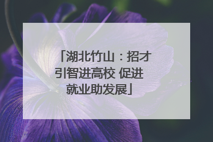 湖北竹山：招才引智进高校 促进就业助发展