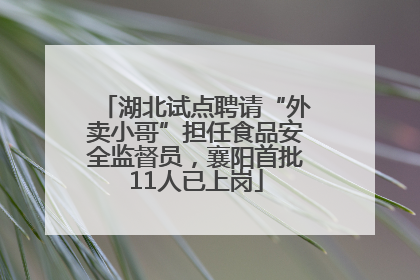 湖北试点聘请“外卖小哥”担任食品安全监督员，襄阳首批11人已上岗