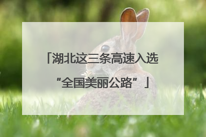 湖北这三条高速入选“全国美丽公路”