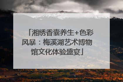湘绣香囊养生+色彩风暴：梅溪湖艺术博物馆文化体验盛宴