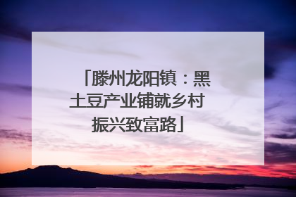 滕州龙阳镇：黑土豆产业铺就乡村振兴致富路