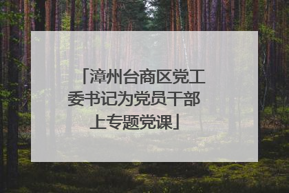 漳州台商区党工委书记为党员干部上专题党课