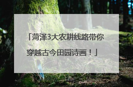菏泽3大农耕线路带你穿越古今田园诗画！
