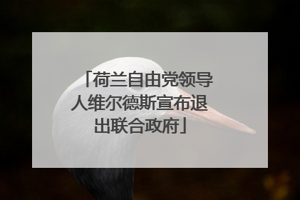 荷兰自由党领导人维尔德斯宣布退出联合政府