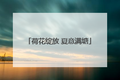 荷花绽放 夏意满塘