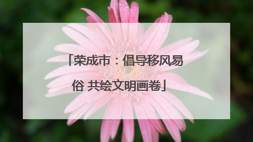 荣成市：倡导移风易俗 共绘文明画卷
