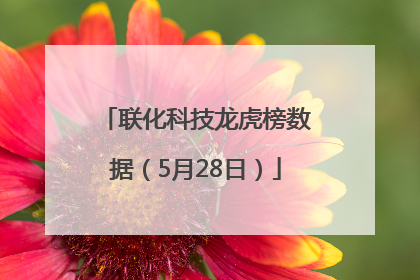 联化科技龙虎榜数据（5月28日）