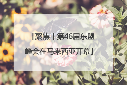 聚焦丨第46届东盟峰会在马来西亚开幕