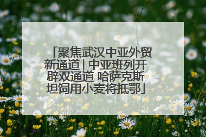 聚焦武汉中亚外贸新通道│中亚班列开辟双通道 哈萨克斯坦饲用小麦将抵鄂