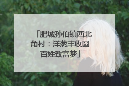 肥城孙伯镇西北角村：洋葱丰收圆百姓致富梦