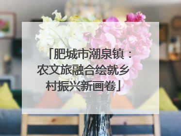 肥城市潮泉镇：农文旅融合绘就乡村振兴新画卷