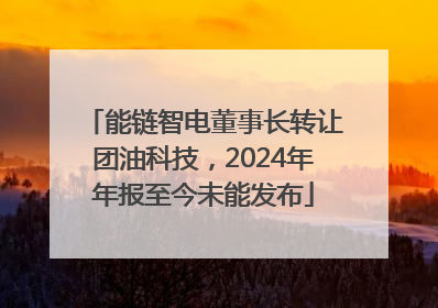 能链智电董事长转让团油科技，2024年年报至今未能发布