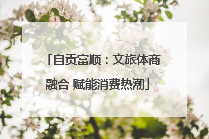 自贡富顺：文旅体商融合 赋能消费热潮