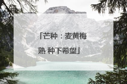芒种：麦黄梅熟 种下希望