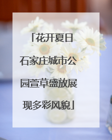 花开夏日 石家庄城市公园萱草盛放展现多彩风貌