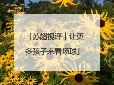 苏超视评︱让更多孩子来看场球