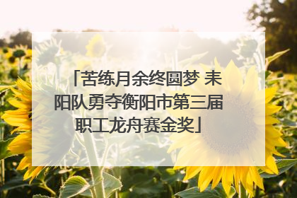 苦练月余终圆梦 耒阳队勇夺衡阳市第三届职工龙舟赛金奖