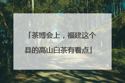 茶博会上，福建这个县的高山白茶有看点