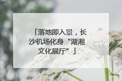 落地即入景，长沙机场化身“湖湘文化展厅”