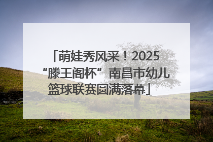 萌娃秀风采！2025“滕王阁杯”南昌市幼儿篮球联赛圆满落幕