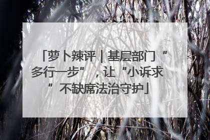 萝卜辣评｜基层部门“多行一步”，让“小诉求”不缺席法治守护