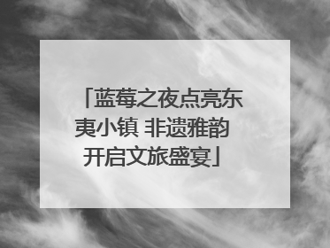 蓝莓之夜点亮东夷小镇 非遗雅韵开启文旅盛宴