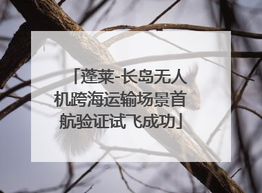 蓬莱-长岛无人机跨海运输场景首航验证试飞成功