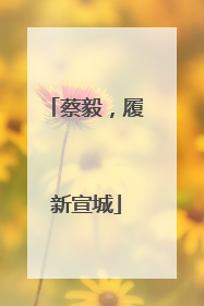 蔡毅，履新宣城
