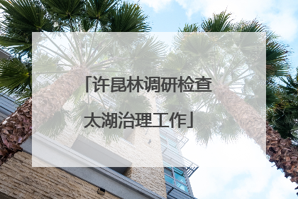 许昆林调研检查太湖治理工作