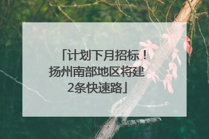 计划下月招标！扬州南部地区将建2条快速路