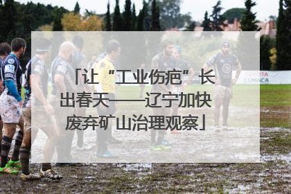 让“工业伤疤”长出春天——辽宁加快废弃矿山治理观察