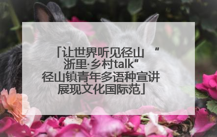 让世界听见径山 “浙里·乡村talk”径山镇青年多语种宣讲展现文化国际范