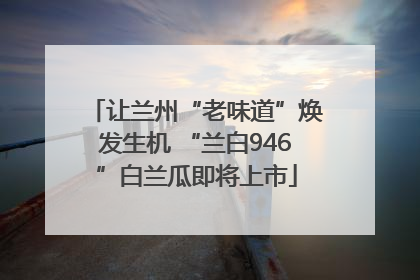让兰州“老味道”焕发生机 “兰白946”白兰瓜即将上市