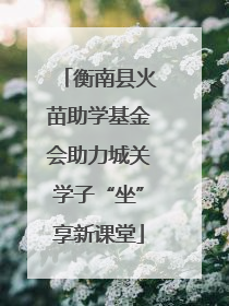 衡南县火苗助学基金会助力城关学子“坐”享新课堂