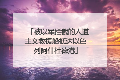 被以军拦截的人道主义救援船抵达以色列阿什杜德港