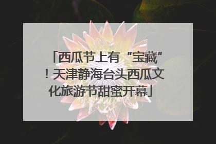 西瓜节上有“宝藏”！天津静海台头西瓜文化旅游节甜蜜开幕
