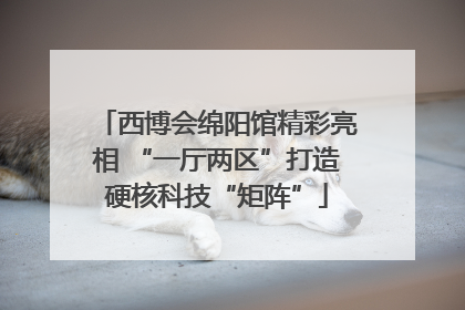 西博会绵阳馆精彩亮相 “一厅两区”打造硬核科技“矩阵”