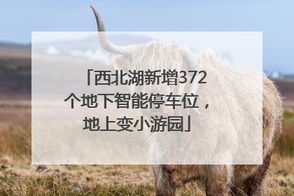 西北湖新增372个地下智能停车位，地上变小游园