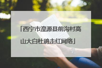 西宁市湟源县前沟村高山大白杜鹃走红网络