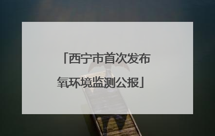 西宁市首次发布氧环境监测公报