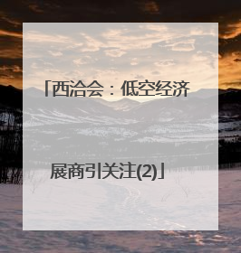 西洽会：低空经济展商引关注(2)