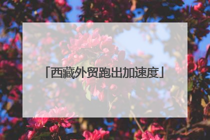 西藏外贸跑出加速度
