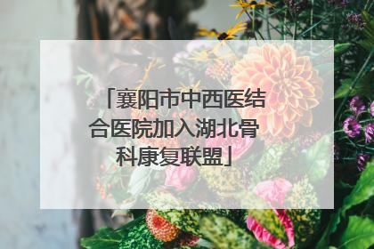 襄阳市中西医结合医院加入湖北骨科康复联盟