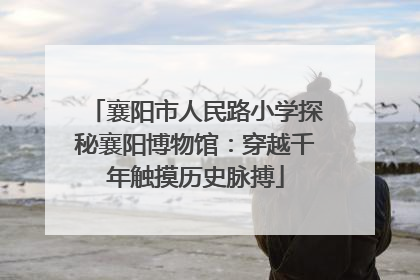 襄阳市人民路小学探秘襄阳博物馆：穿越千年触摸历史脉搏