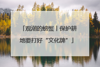 观潮的螃蟹丨保护耕地要打好“文化牌”