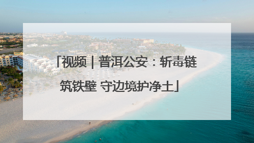 视频｜普洱公安：斩毒链筑铁壁 守边境护净土