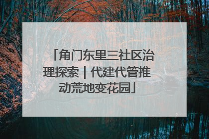 角门东里三社区治理探索｜代建代管推动荒地变花园