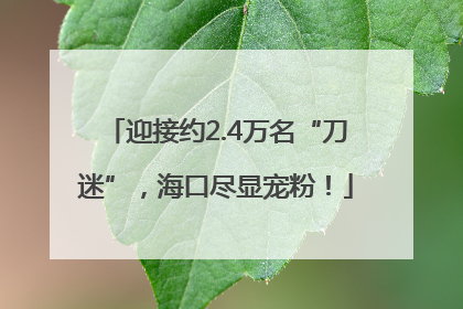 迎接约2.4万名“刀迷”，海口尽显宠粉！