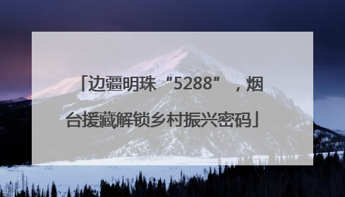 边疆明珠“5288”，烟台援藏解锁乡村振兴密码