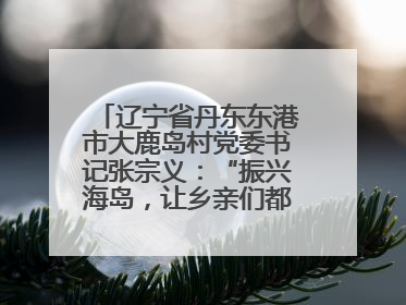 辽宁省丹东东港市大鹿岛村党委书记张宗义：“振兴海岛，让乡亲们都过上好日子”